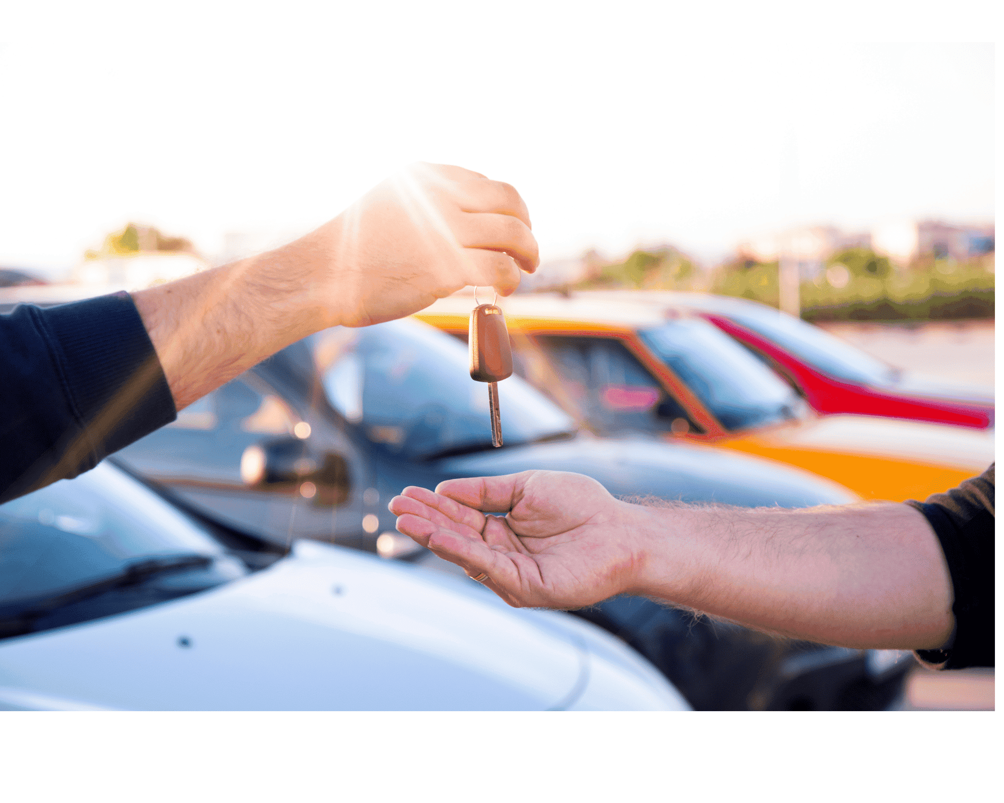 The transfer code (code de cession): what it is and why you need it
